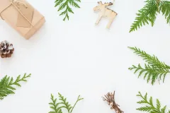 holiday gift